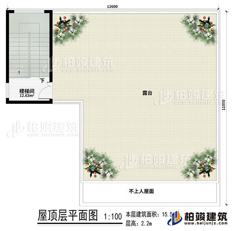 房顶：楼梯间、露台